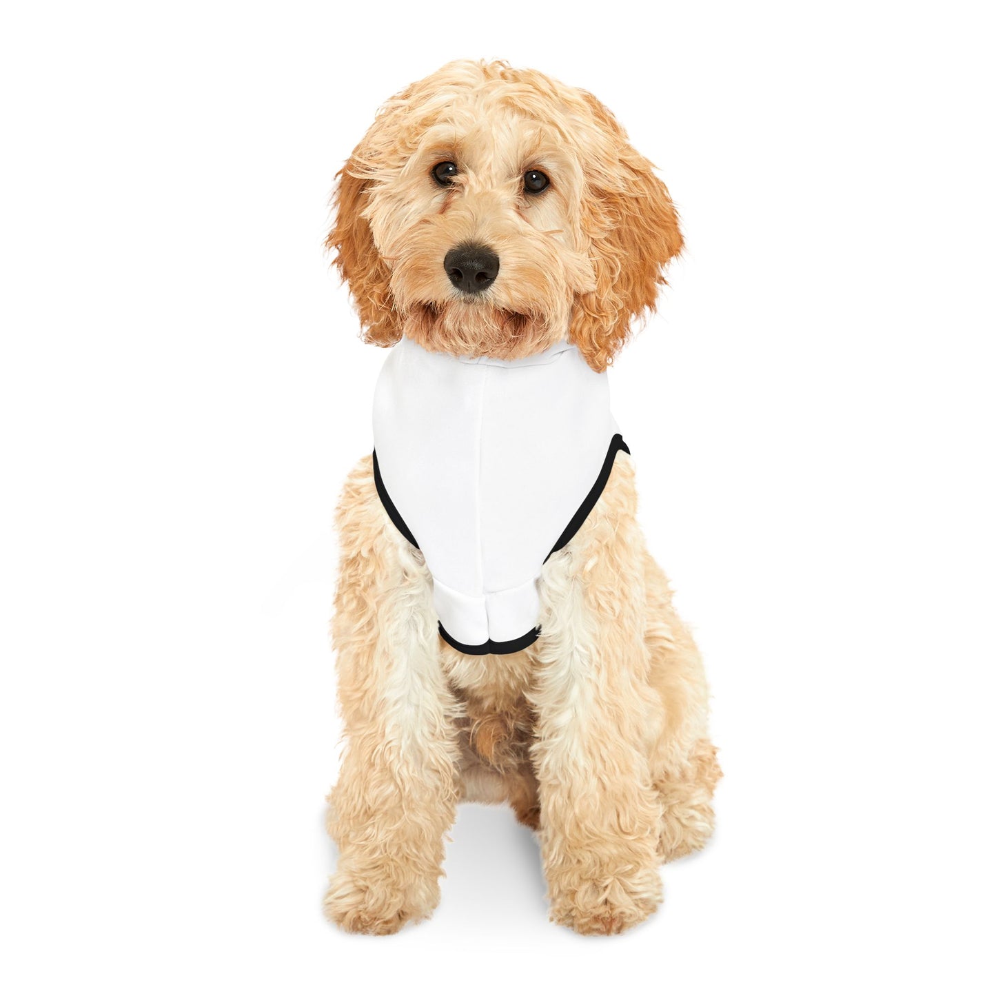 Furry & Highly Favored Dog Hoodie