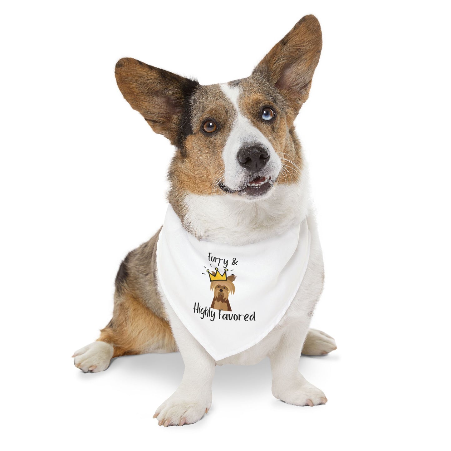 Furry & Highly Favored Bandana