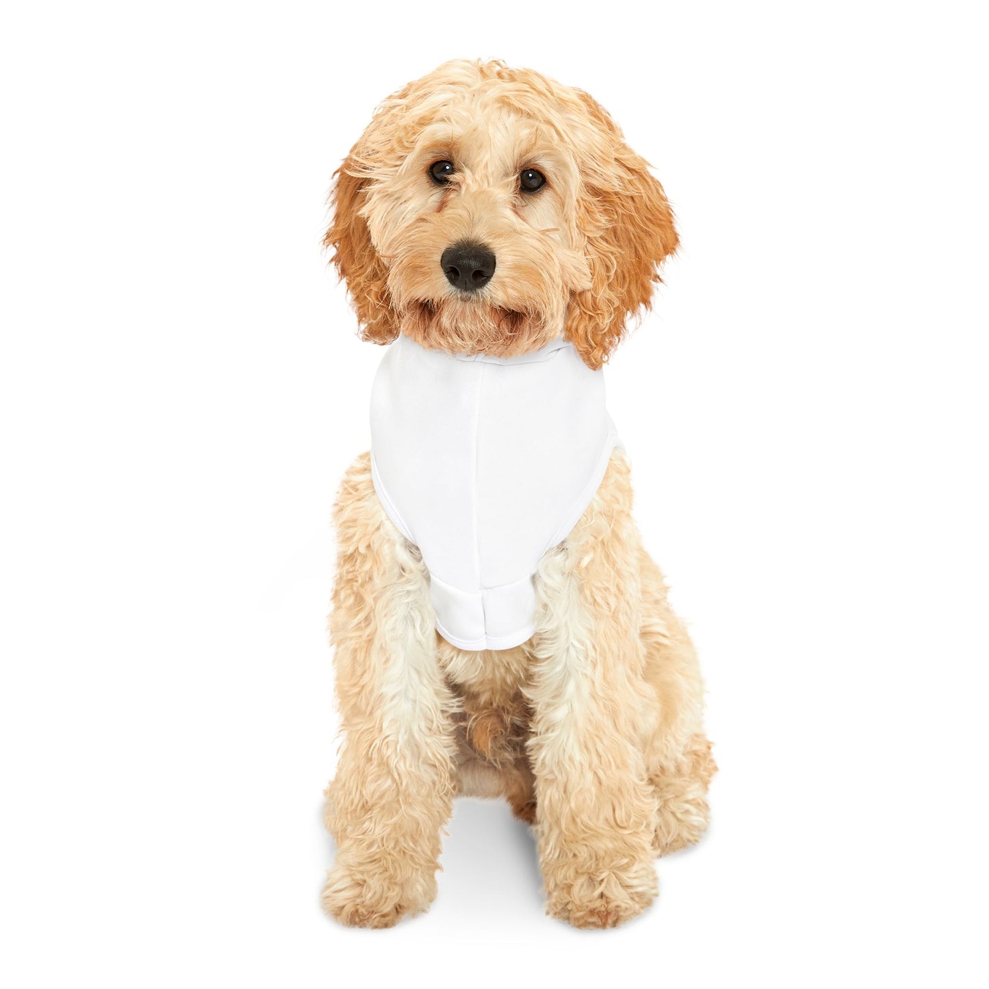 Furry & Highly Favored Dog Hoodie