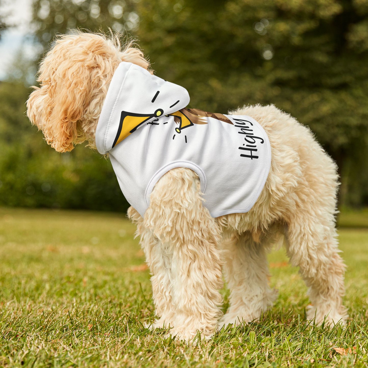Furry & Highly Favored Dog Hoodie