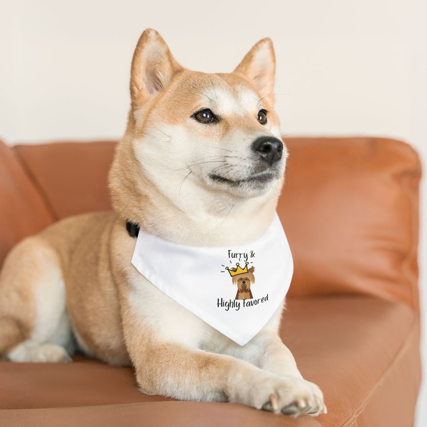Furry & Highly Favored Bandana