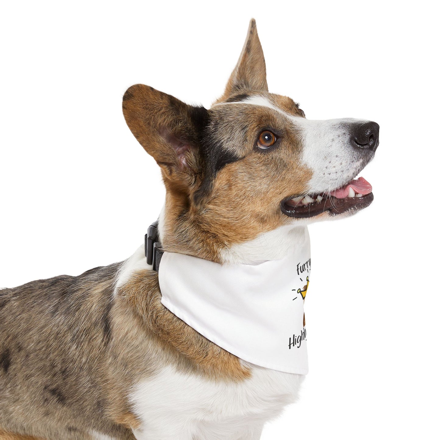 Furry & Highly Favored Bandana